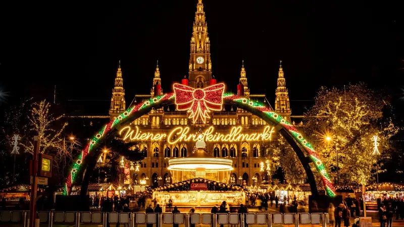 Things to Do in Vienna in November 2026: Markets, Goose and Secret Tips