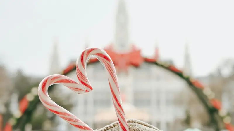 Vienna Winter Date Spots