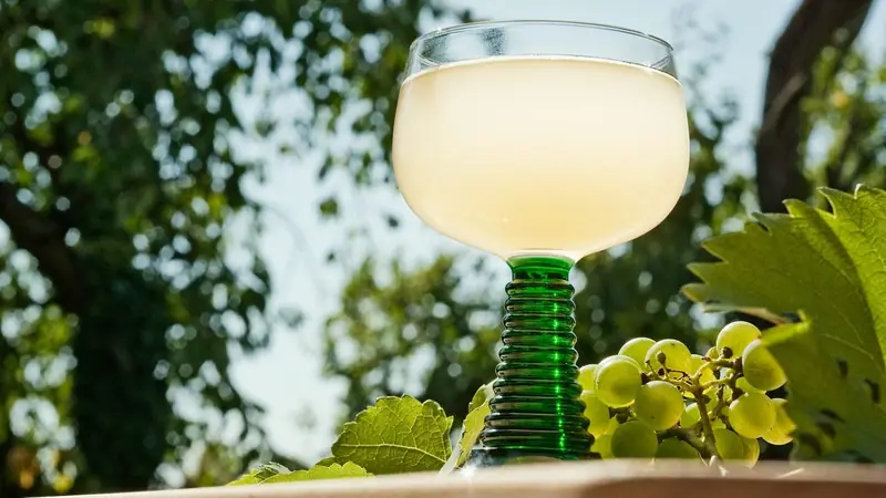 Viennese Wine and the Wine Hikes