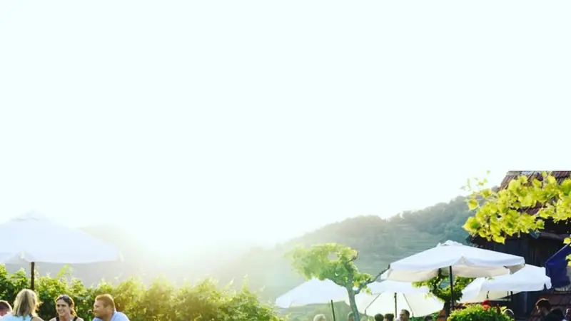 What Is a Heuriger, Really? A Local’s Guide to Vienna’s Wine Tavern Culture