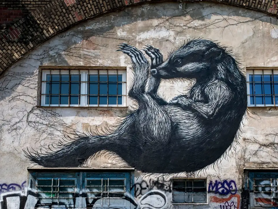 Free tour di street art a Vienna – foto 4
