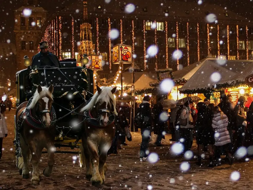 Private Christmas Market Tour Vienna – photo 1
