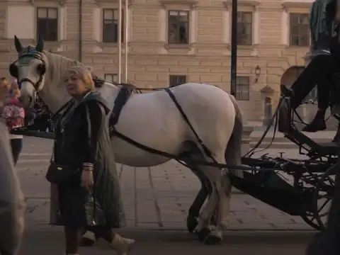 Tour del sesso a Vienna: un tour senza tabù – foto 2