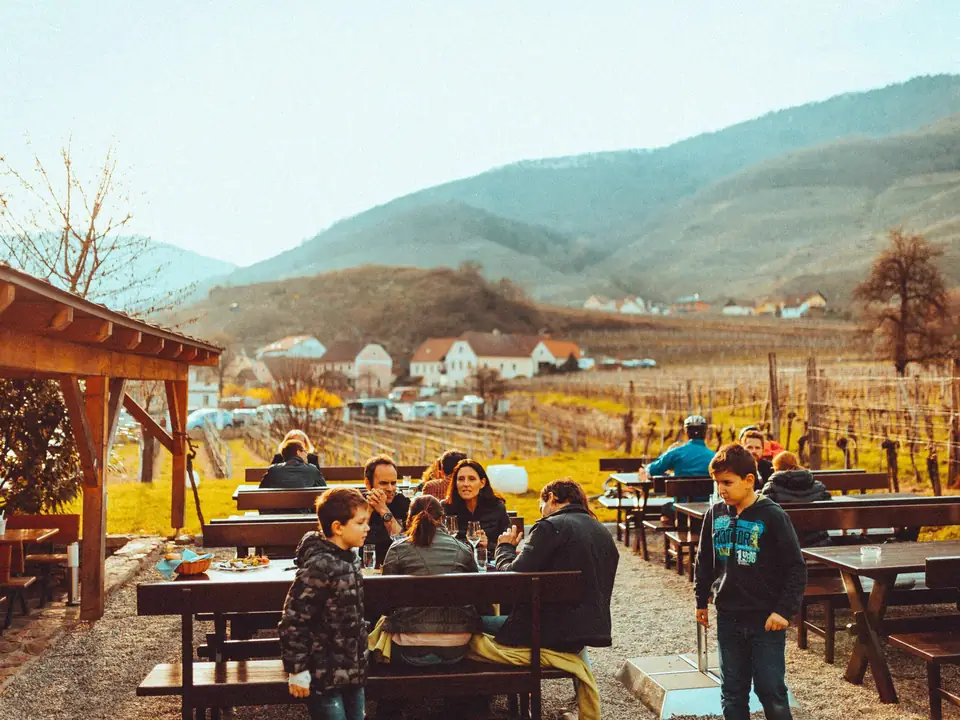 Private Wachau Valley Tour: Wine Tasting & E-Bike – photo 4
